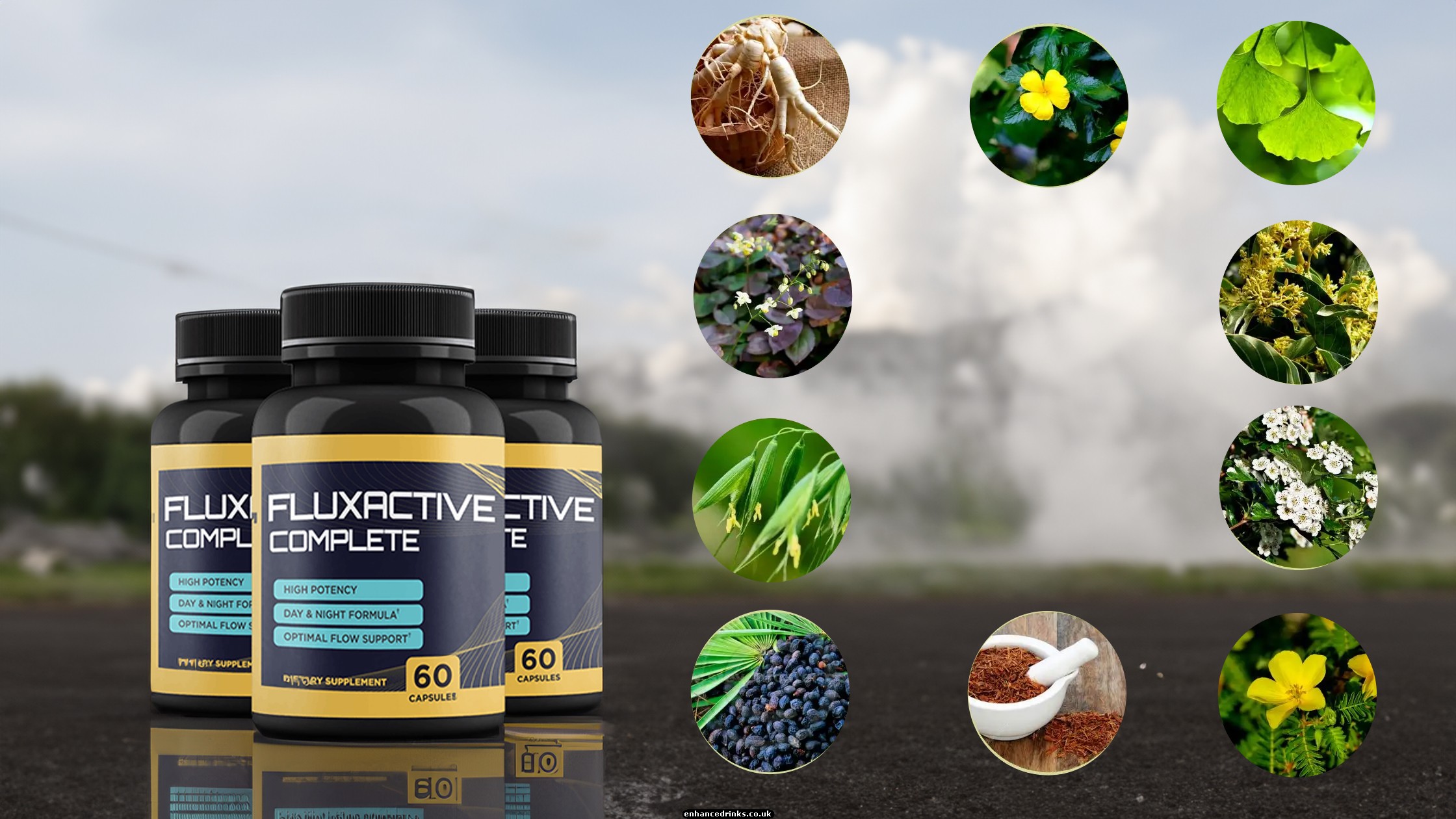 Main Ingredients in Fluxactive Complete